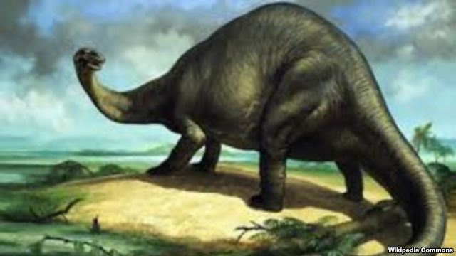 Свыше 400 следов динозавров на берегу реки Харгуш