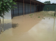 Более 1000 домов пострадали из-за разлива реки в районе Рудаки
