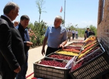 Главу МВД России угостили таджикской черешней в Гисаре