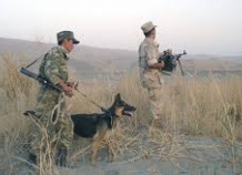 На внешних рубежах Таджикистана ликвидированы 500 контрабандистов
