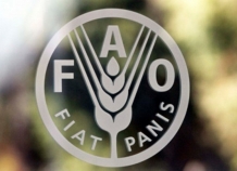 ФАО оценила разработку Национальной стратегии продовольственной безопасности Таджикистана в $400 тыс