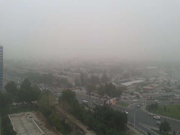 Столицу Таджикистана накрыла пыльная буря 