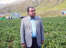 Президент побывал в высокогорье, где выращивают картофель и разводят пчел