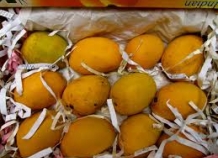 В Душанбе уничтожена крупная партия испорченных ананасов и манго из ОАЭ