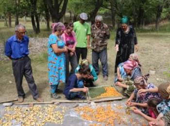 Согдийские мастерицы помогают развивать переработку фруктов на Памире