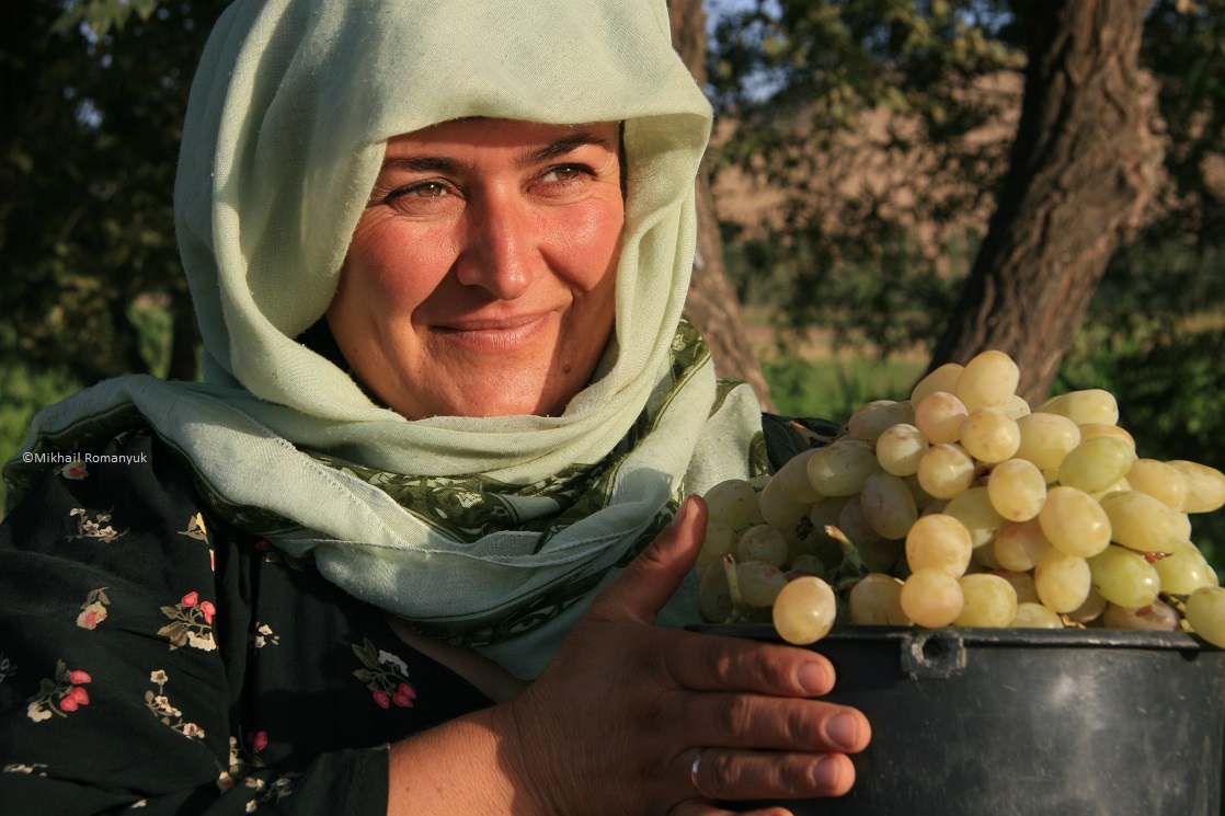 В Таджикистане создали платформу для обсуждения продовольственной безопасности