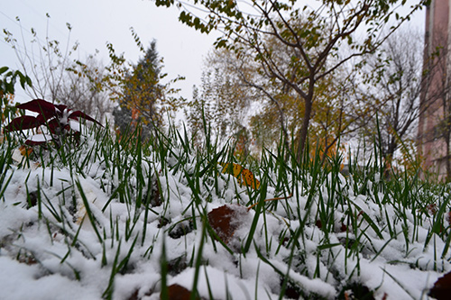 Достаем варежки и шапки: В Душанбе пришла настоящая зима