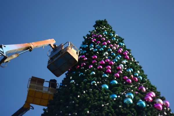 Худжанд украсят четыре новогодние елки