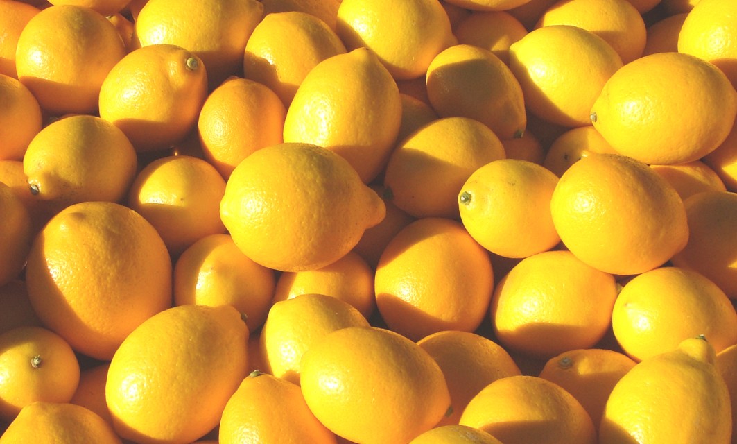 В Екатеринбурге Россельхознадзор уничтожил лимоны, завезенные из Таджикистана