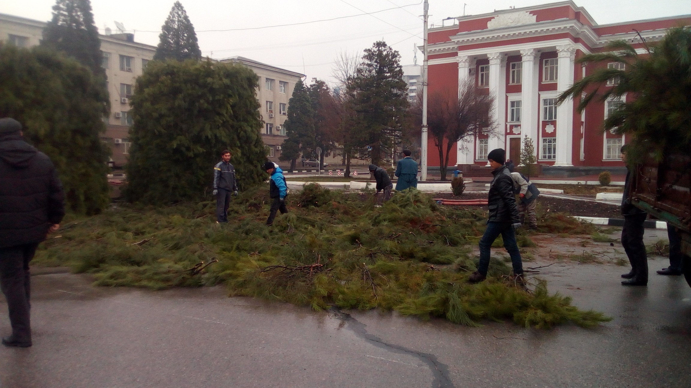 В центре Душанбе установят 20-метровую новогоднюю елку