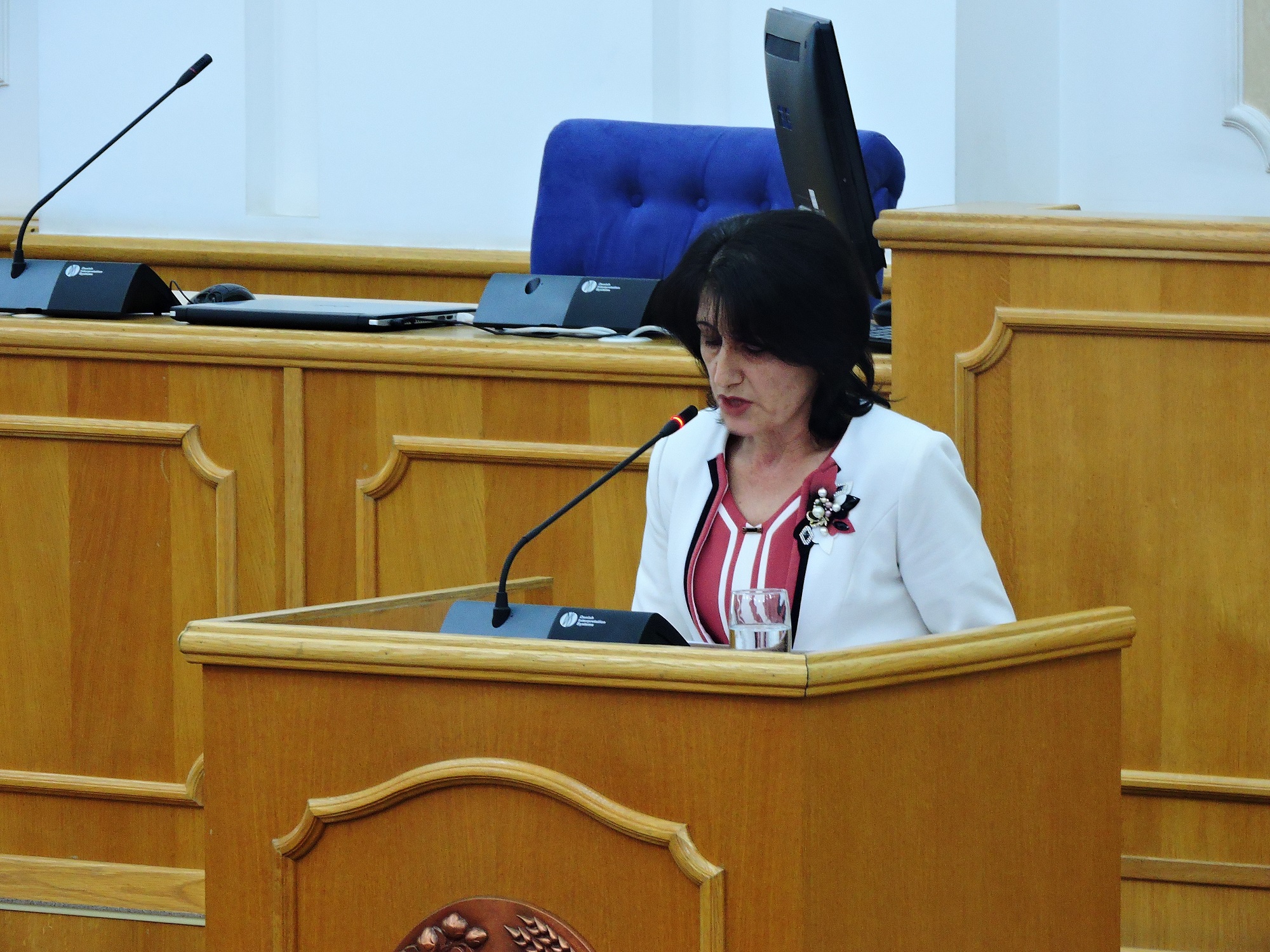 В Душанбе состоялись парламентские слушания по ИПДО