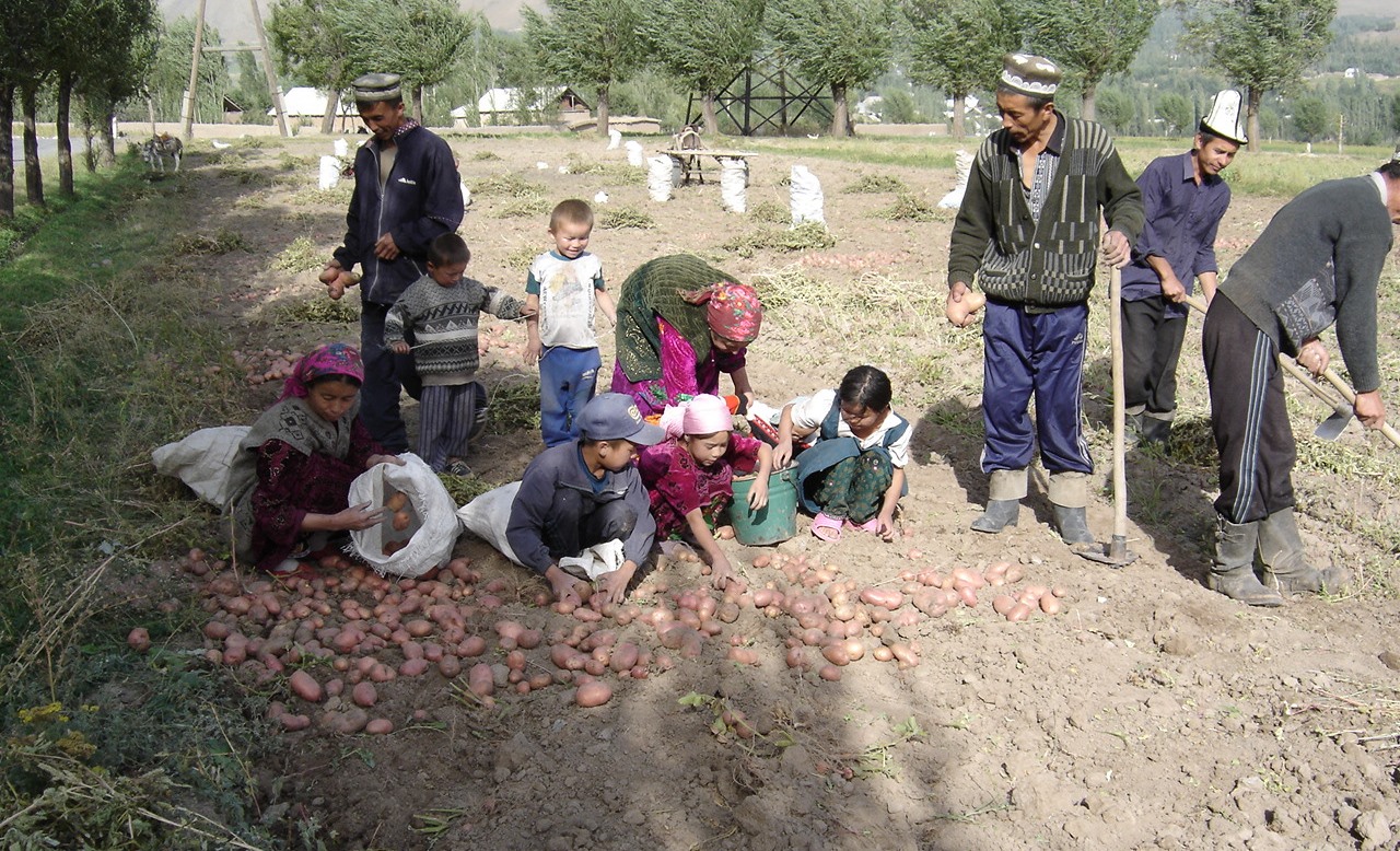 При поддержке правительства США в Таджикистане будет создан рынок земли