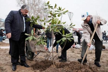 Посадка деревьев в Таджикистане по случаю 50-летия АБР