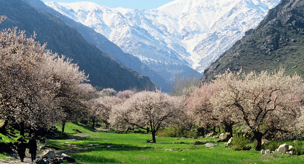 Таджикистан получил серебро по уровню экологии среди стран ЦА