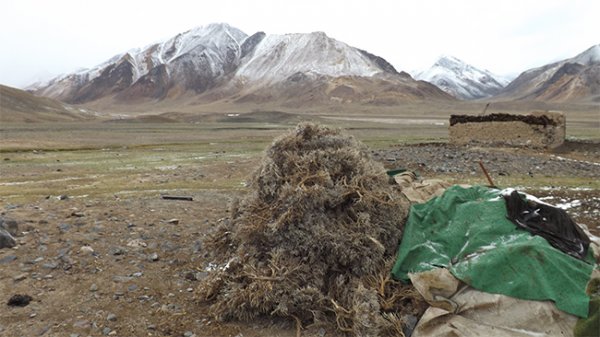 Восточный Памир на пороге экологической катастрофы