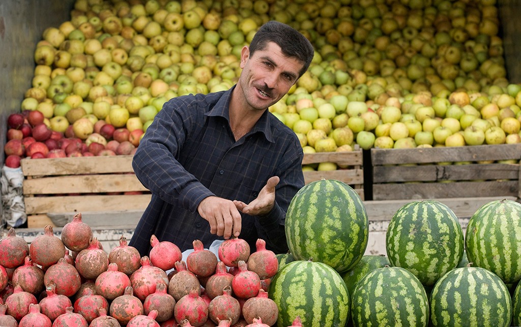 Душанбе просит Пекин подписать соглашение о поставках таджикских фруктов на китайские рынки
