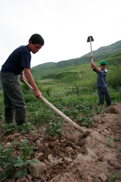 Могут ли таджикские дехкане накормить страну?