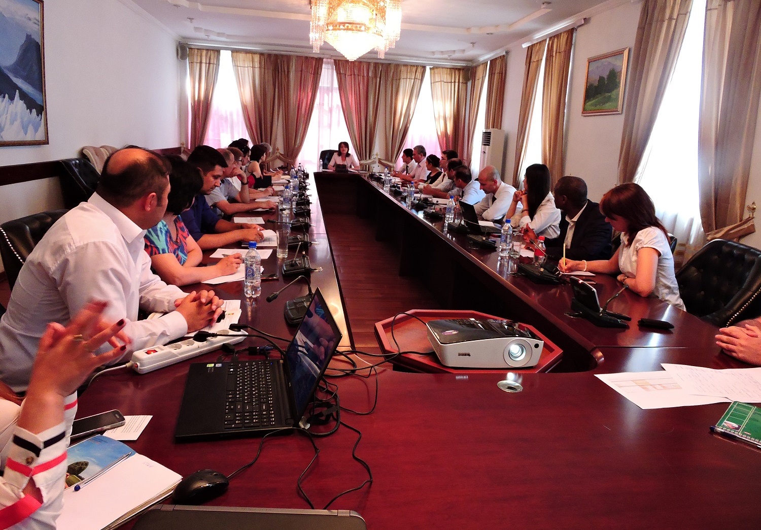 На заседании Совета ИПДО Таджикистана приняла участие Миссия Всемирного банка