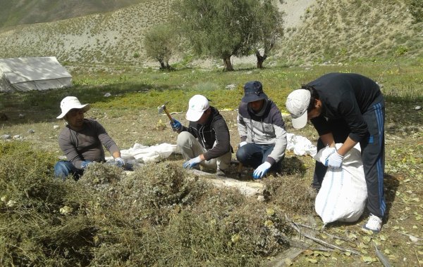 Таджикские студенты уходят в горы: как в республике воспитывают травников?