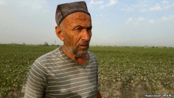 Выпущенный из Афганистана снаряд упал на хлопковое поле в Таджикистане