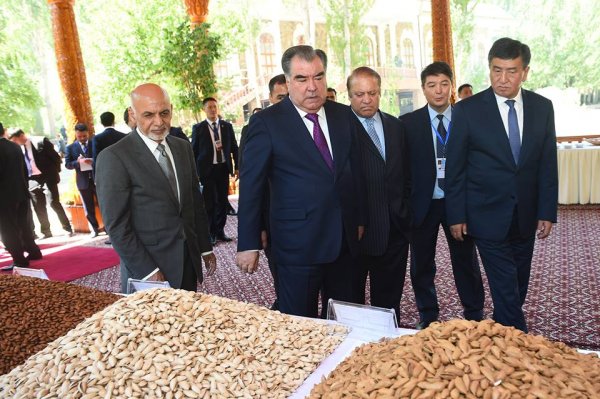 Персики, инжир, кульча: чем угощал таджикский президент своих гостей