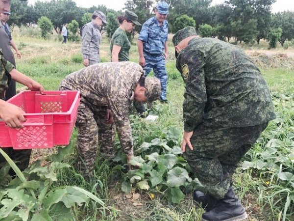 Глава МВД проинспектировал милицию Согда и собрал урожай