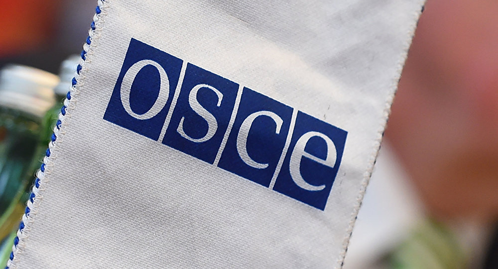 ОБСЕ и Таджикистан определили приоритетные направления сотрудничества в 2018 году