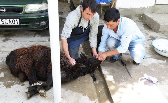 Душанбе: штраф за убой скота в неположенном месте до 2 тысяч долларов