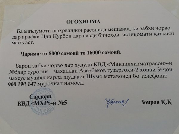 Душанбе: штраф за убой скота в неположенном месте до 2 тысяч долларов