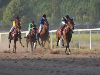 Мэр поручил выделить 51 тыс. сомони на проведение конных скачек в Душанбе