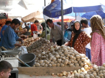 В Таджикистане собрано около 200 тыс. тонн картофеля