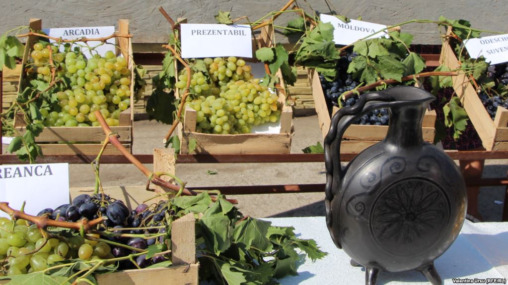 Жителям Таджикистана официально разрешили гнать самогон и готовить вино