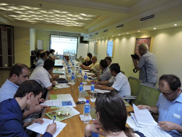 Роль гражданского общества в реализации ИПДО в Таджикистане