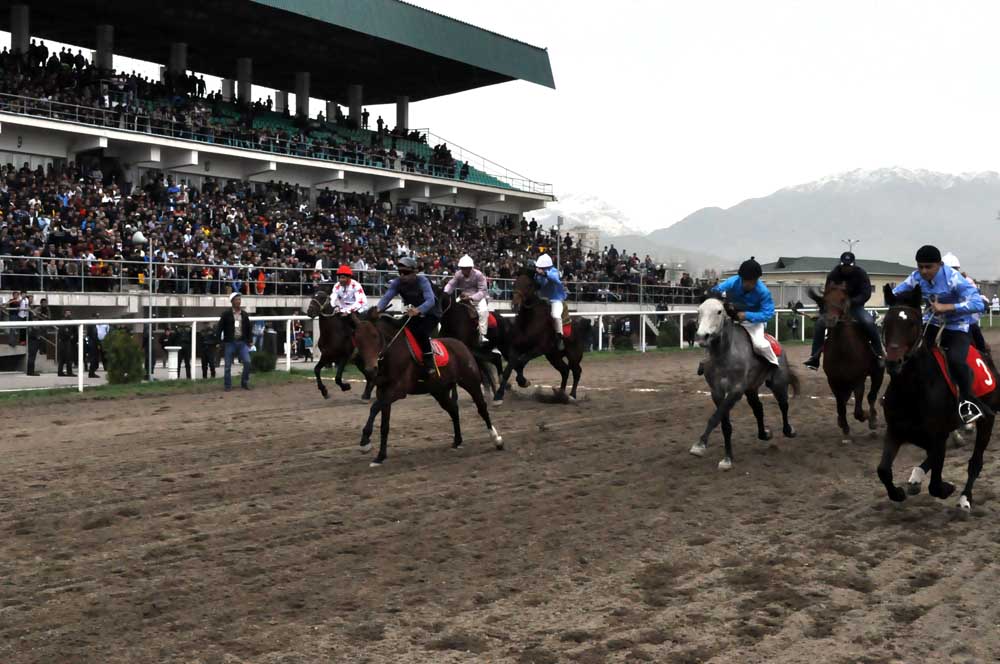 Более 48 тыс. сомони будет выделено для проведения конных скачек