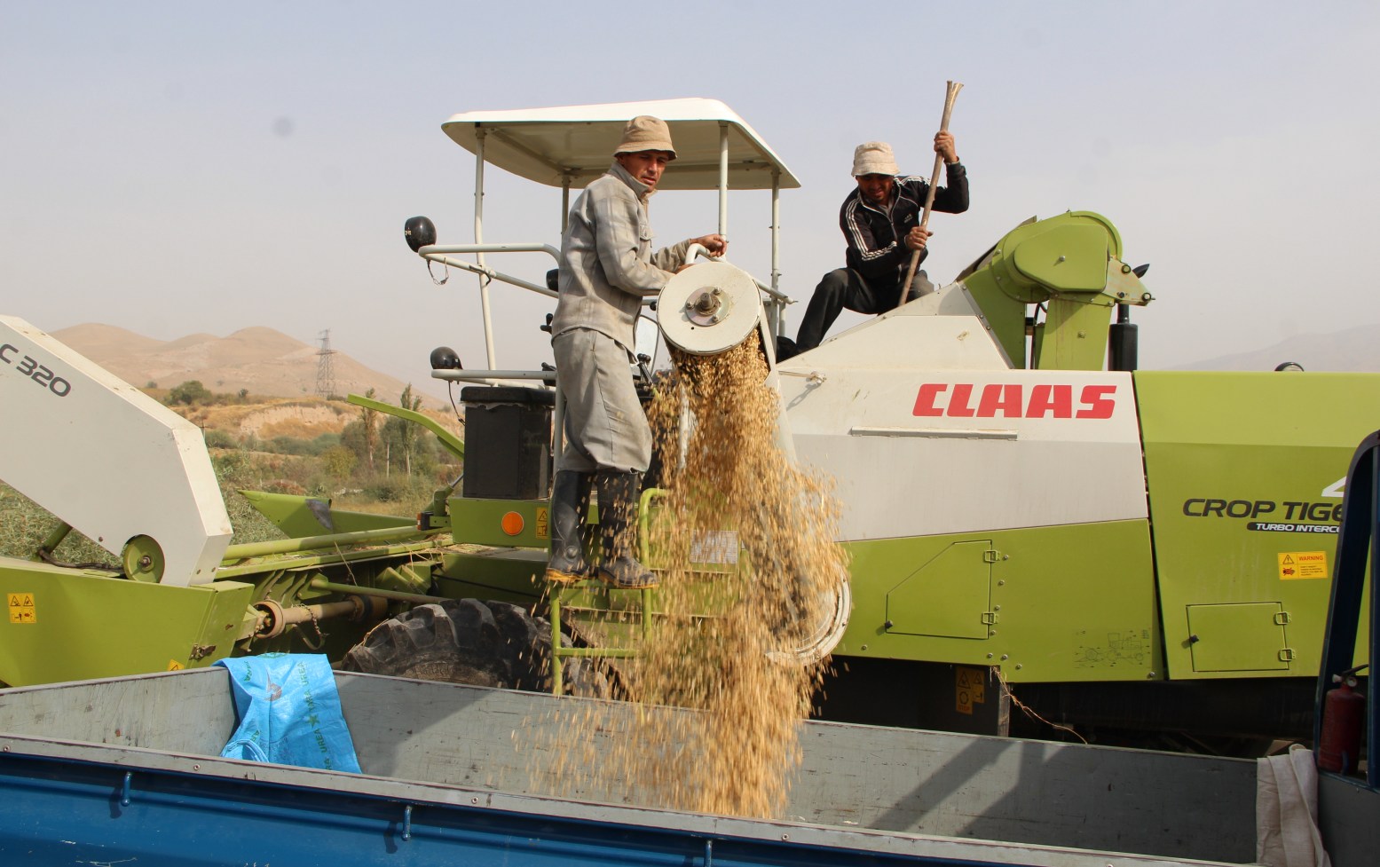 Урожай получился на славу! Фермеры довольны высокой эффективностью рисоуборочных комбайнов CLAAS