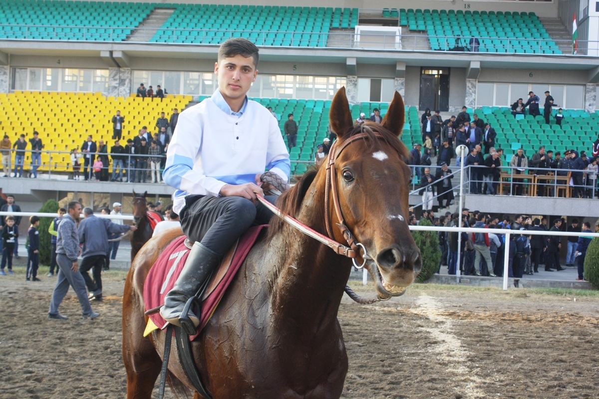Жеребец внука президента Таджикистана выиграл главный приз на скачках