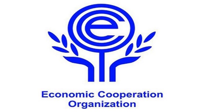 В следующем году Таджикистан будет председательствовать в ОЭС