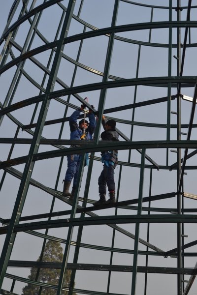 В центре Душанбе начали устанавливать главную ёлку страны
