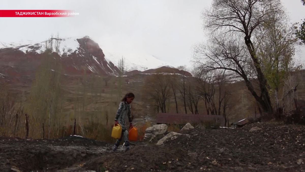Без хлеба и образования. Треть таджикистанцев находятся за чертой бедности