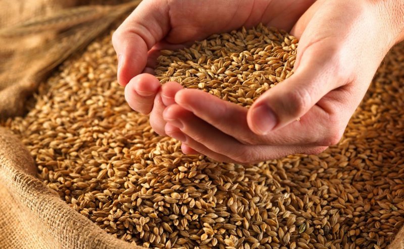 Мука была перемолота из пшеницы, которую завез местный предприниматель из Хатлона