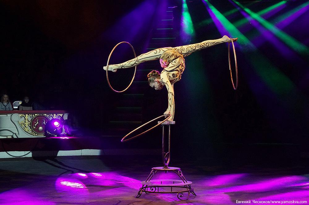 В Душанбе с гастролями приедет Московский цирк «Браво»