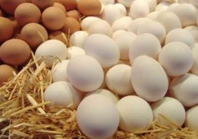 В Таджикистане произведено около 55 млн. штук куриных яиц и свыше 21 тыс. тонн мяса