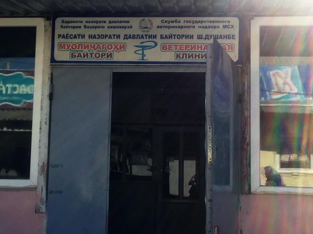 В Душанбе закрыли единственную государственную ветеринарную клинику