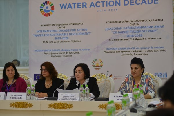 В Душанбе обсудили роль женщин в процессах, связанных с водными ресурсами