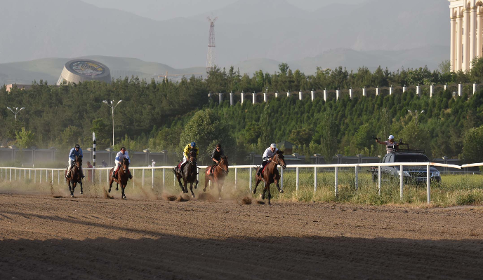 В Душанбе за счет пожертвований граждан пройдут конные скачки