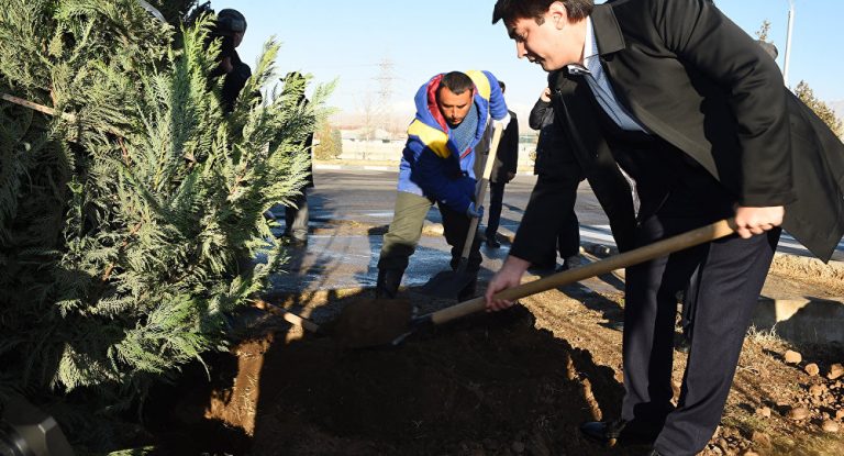 Рустам Эмомали поручил высадить в Душанбе 6 миллионов деревьев, кустарников и цветов