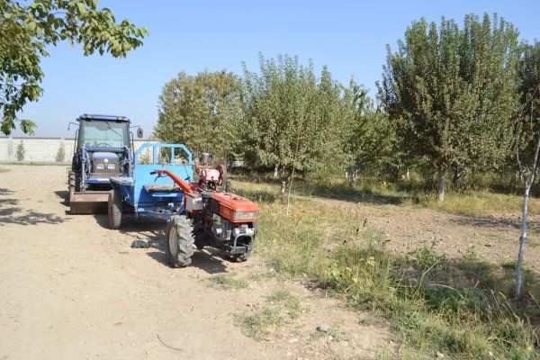 Почему фермеры Таджикистана хотят стать промышленниками?