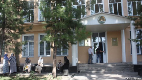 Куст розы за 100 тыс. сомони. В Душанбе два брата-студента оштрафованы за избиение садовника