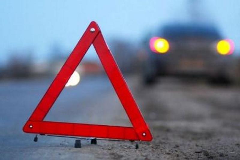 В результате ДТП в Рудаки под колесами двух автомобилей погибла шестилетняя девочка