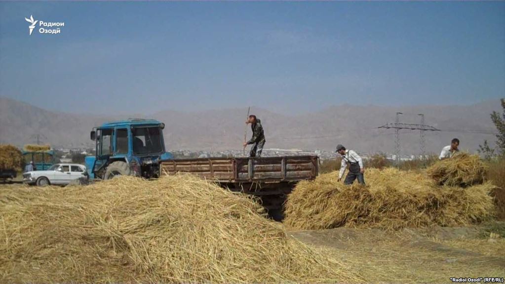 Международные доноры приостановили программы бюджетной поддержки Таджикистана